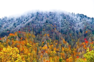 FallSmokies