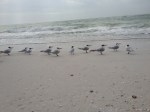 beach3