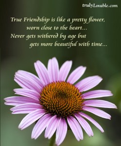 True_Friendship1