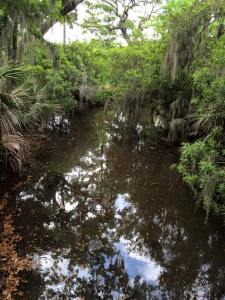 Tybeemarsh3