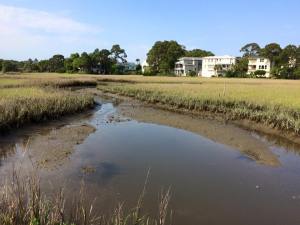 Tybee Marsh